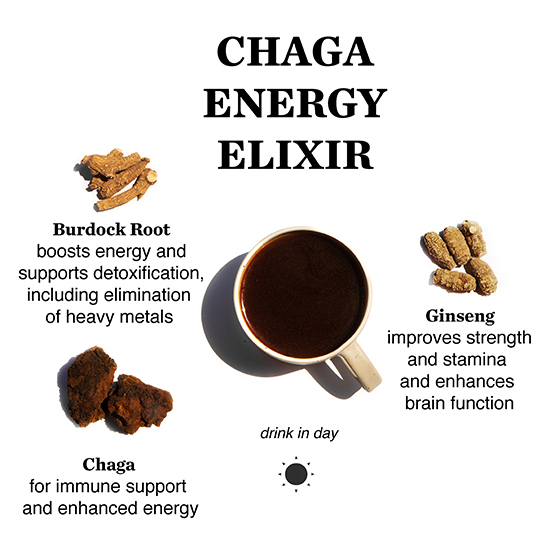 chaga-mushroom-elixir-medicinal-mushrooms