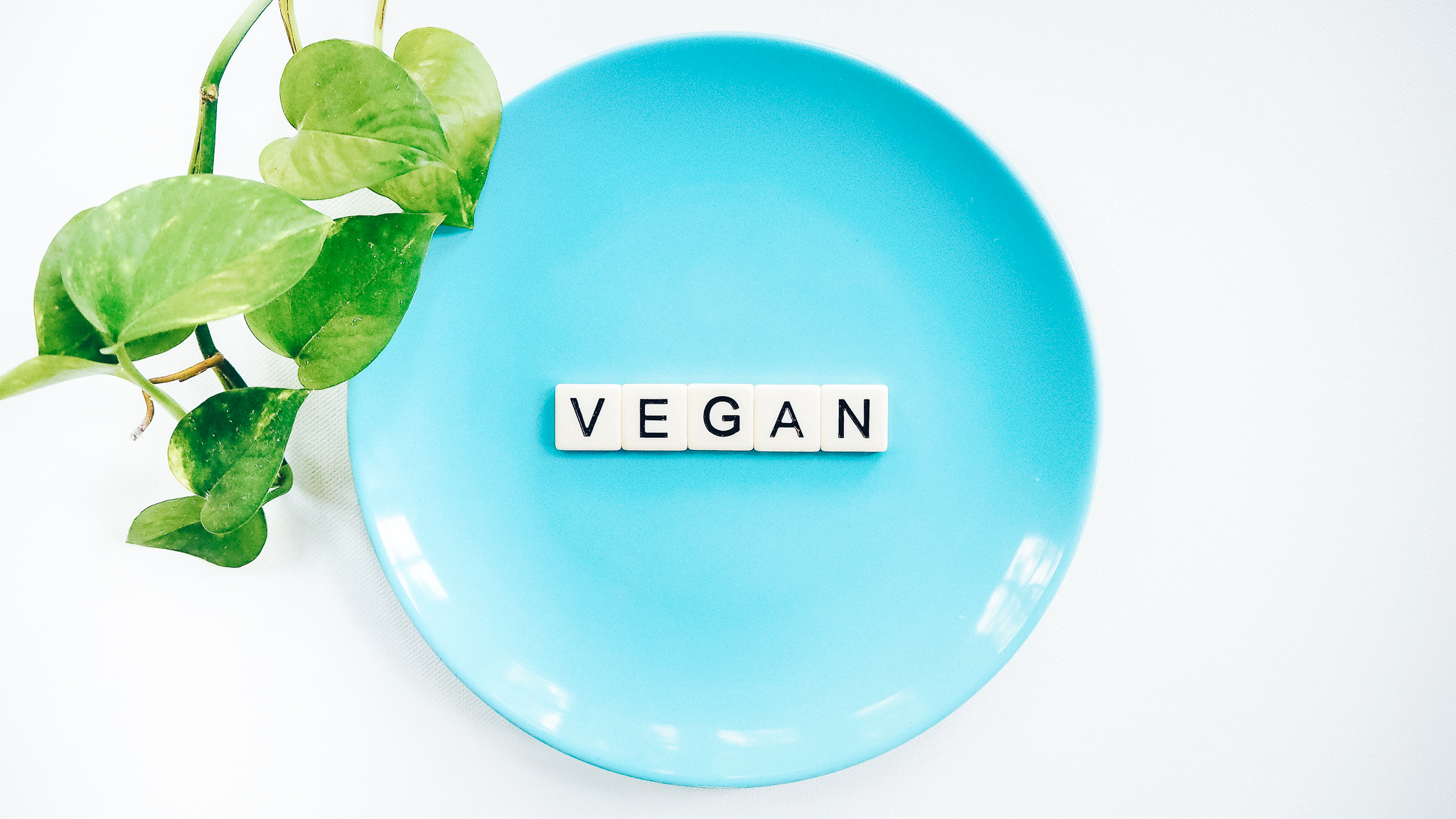 vegan-ketogenic-diet